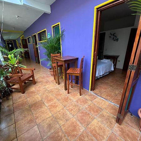 Casa Romano Hostel سان خوان ديل سور المظهر الخارجي الصورة